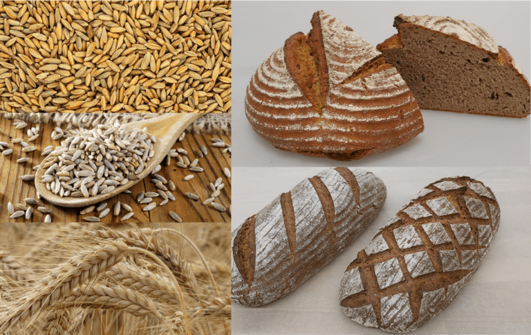 Alte Roggensorte mit hervorragendem Backverhalten